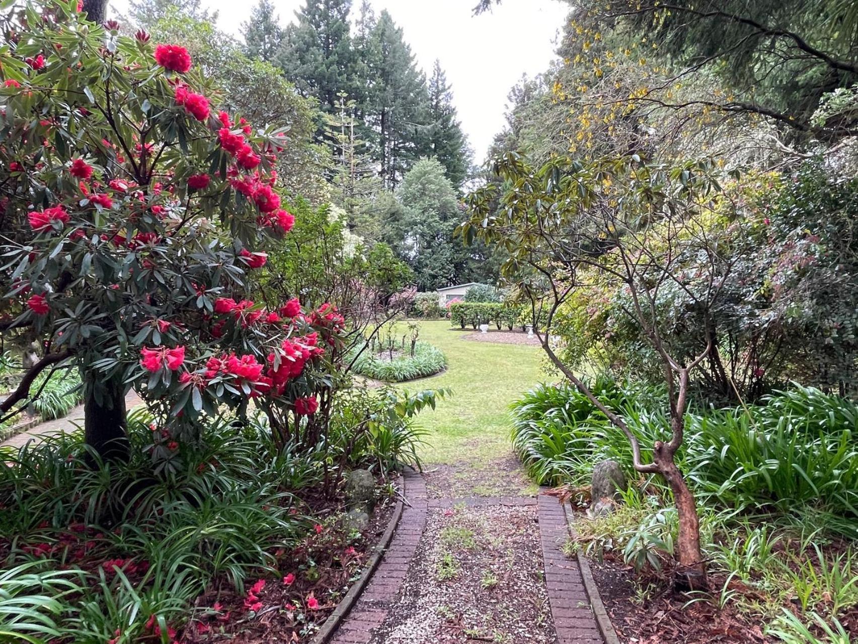 Garden Paradise In Rotorua With Pool Exterior photo